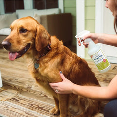 16 oz. Flea & Tick Spray for Pets + Home